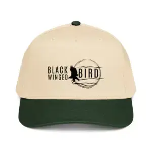 Bwb Full 10